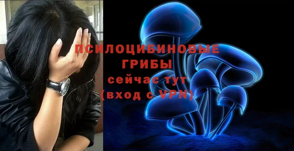 apvp Алексеевка