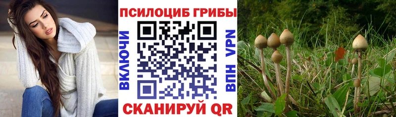 darknet как зайти  дарнет шоп  Кореновск  Галлюциногенные грибы мухоморы 
